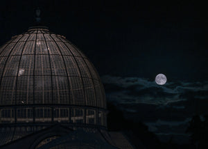 Conservatory Moon