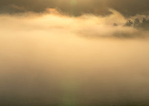 Rising Above